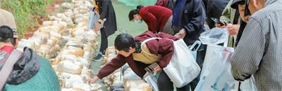 北京京通医院,医患之间采摘之旅