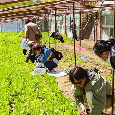 北京京通医院,患者在菜园子中快乐的采摘